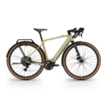 Elektro Gravel Bike