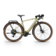 Elektro Gravel Bike